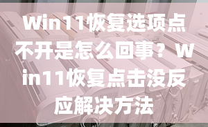 Win11恢复选项点不开是怎么回事？Win11恢复点击没反应解决方法