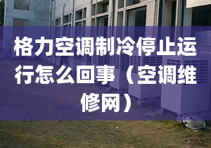 格力空调制冷停止运行怎么回事（空调维修网）