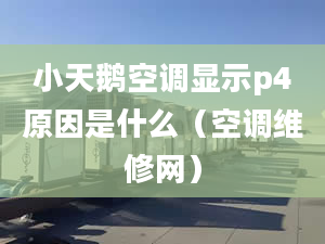 小天鹅空调显示p4原因是什么（空调维修网）