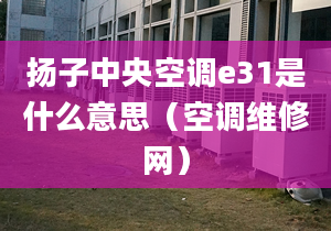 扬子中央空调e31是什么意思（空调维修网）