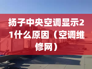 扬子中央空调显示21什么原因（空调维修网）