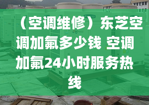 （空调维修）东芝空调加氟多少钱 空调加氟24小时服务热线