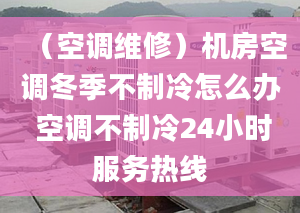 （空调维修）机房空调冬季不制冷怎么办 空调不制冷24小时服务热线