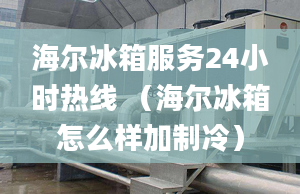 海尔冰箱服务24小时热线 （海尔冰箱怎么样加制冷）