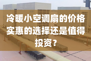 冷暖小空调扇的价格实惠的选择还是值得投资？