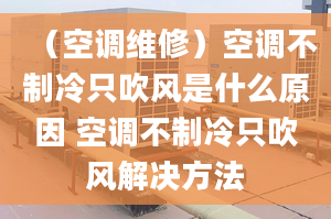 （空调维修）空调不制冷只吹风是什么原因 空调不制冷只吹风解决方法