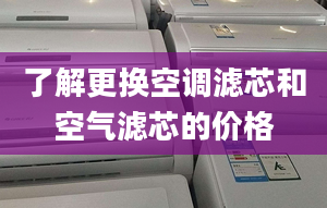 了解更换空调滤芯和空气滤芯的价格