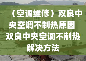 （空调维修）双良中央空调不制热原因 双良中央空调不制热解决方法