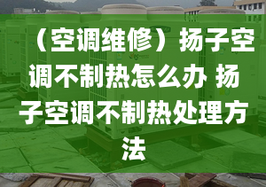 （空调维修）扬子空调不制热怎么办 扬子空调不制热处理方法