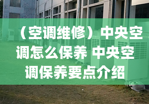 （空调维修）中央空调怎么保养 中央空调保养要点介绍