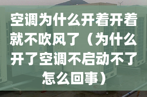 空调为什么开着开着就不吹风了（为什么开了空调不启动不了怎么回事）