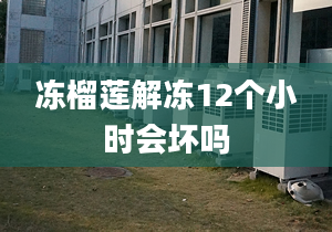 冻榴莲解冻12个小时会坏吗