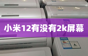 小米12有没有2k屏幕