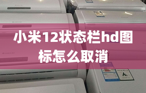 小米12状态栏hd图标怎么取消