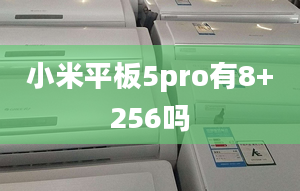 小米平板5pro有8+256吗