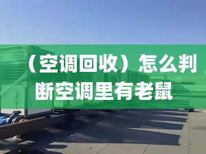 （空调回收）怎么判断空调里有老鼠