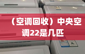 （空调回收）中央空调22是几匹