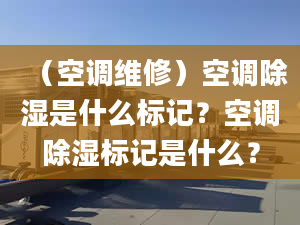 （空调维修）空调除湿是什么标记？空调除湿标记是什么？