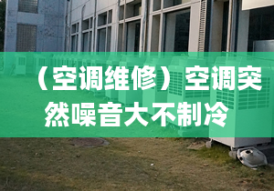 （空调维修）空调突然噪音大不制冷