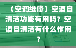 （空调维修）空调自清洁功能有用吗？空调自清洁有什么作用？