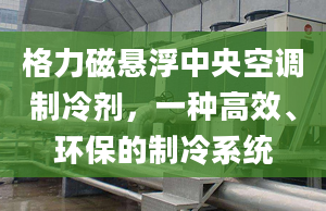 格力磁悬浮中央空调制冷剂，一种高效、环保的制冷系统