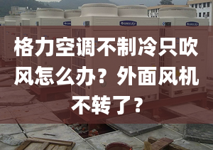 格力空调不制冷只吹风怎么办？外面风机不转了？