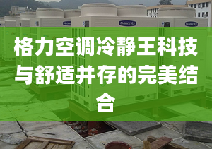 格力空调冷静王科技与舒适并存的完美结合