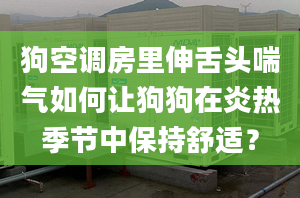 狗空调房里伸舌头喘气如何让狗狗在炎热季节中保持舒适？