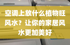 空调上放什么植物旺风水？让你的家居风水更加美好