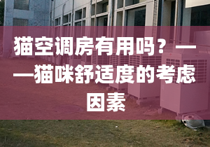 猫空调房有用吗？——猫咪舒适度的考虑因素