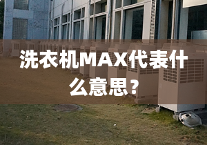 洗衣机MAX代表什么意思？