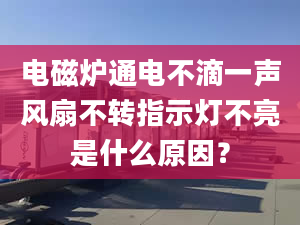 电磁炉通电不滴一声风扇不转指示灯不亮是什么原因？