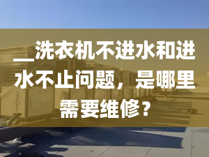 __洗衣机不进水和进水不止问题，是哪里需要维修？