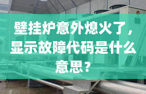 壁挂炉意外熄火了，显示故障代码是什么意思？