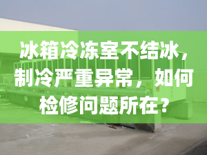 冰箱冷冻室不结冰，制冷严重异常，如何检修问题所在？