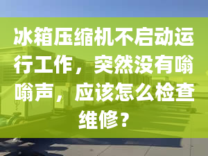 冰箱压缩机不启动运行工作，突然没有嗡嗡声，应该怎么检查维修？