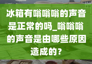 冰箱有嗡嗡嗡的声音是正常的吗_嗡嗡嗡的声音是由哪些原因造成的？