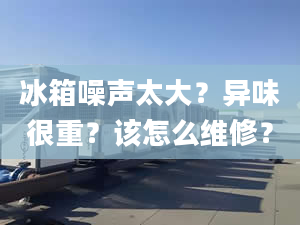 冰箱噪声太大？异味很重？该怎么维修？