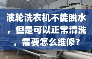 波轮洗衣机不能脱水，但是可以正常清洗，需要怎么维修？