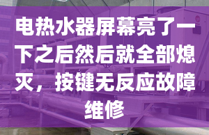 电热水器屏幕亮了一下之后然后就全部熄灭，按键无反应故障维修