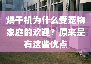 烘干机为什么受宠物家庭的欢迎？原来是有这些优点