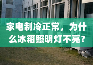 家电制冷正常，为什么冰箱照明灯不亮？