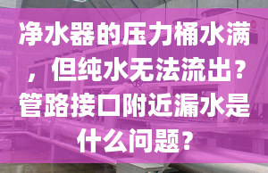 净水器的压力桶水满，但纯水无法流出？管路接口附近漏水是什么问题？