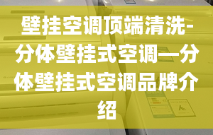 壁挂空调顶端清洗-分体壁挂式空调—分体壁挂式空调品牌介绍