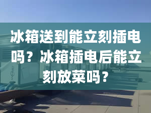 冰箱送到能立刻插电吗？冰箱插电后能立刻放菜吗？