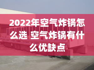 2022年空气炸锅怎么选 空气炸锅有什么优缺点