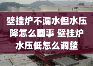 壁挂炉不漏水但水压降怎么回事 壁挂炉水压低怎么调整