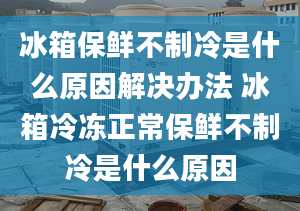 冰箱保鲜不制冷是什么原因解决办法 冰箱冷冻正常保鲜不制冷是什么原因