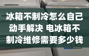 冰箱不制冷怎么自己动手解决 电冰箱不制冷维修需要多少钱