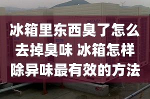 冰箱里东西臭了怎么去掉臭味 冰箱怎样除异味最有效的方法